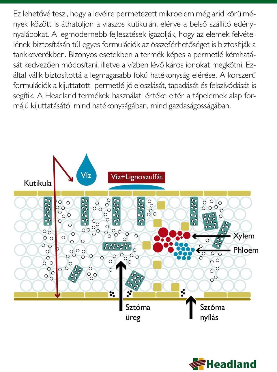 Bizonyos esetekben a termék képes a permetlé kémhatását kedvezően módosítani, illetve a vízben lévő káros ionokat megkötni. Ezáltal válik biztosítottá a legmagasabb fokú hatékonyság elérése.