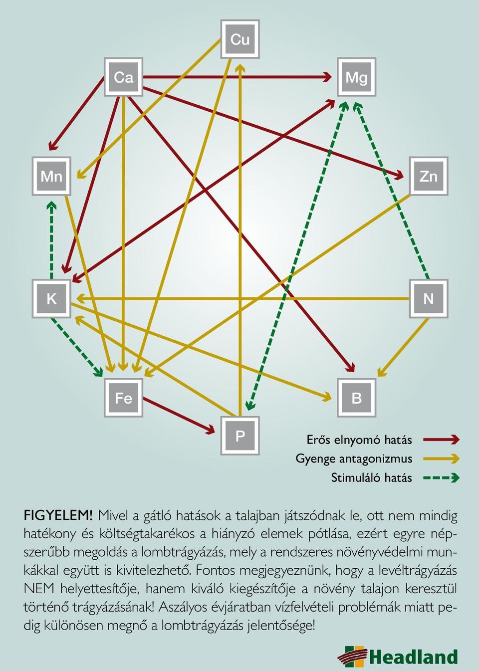 megoldás a lombtrágyázás, mely a rendszeres növényvédelmi munkákkal együtt is kivitelezhető.