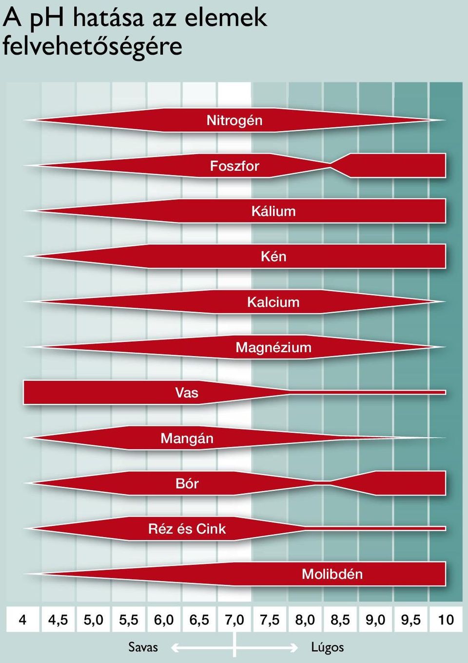 Magnézium Vas Mangán Bór Réz és Cink