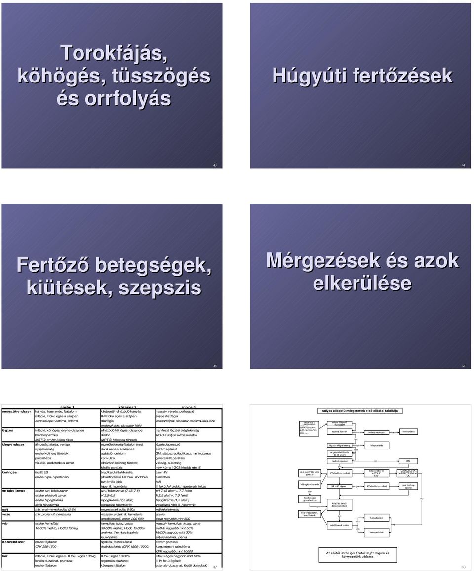 emésztőrendszer hányás, hasmenés, fájdalom kifejezett/ elhúzódó hányás masszív vérzés, perforáció irritáció, I fokú égés a szájban II-III fokú égés a szájban súlyos diszfágia endoszkópia: eritéma,