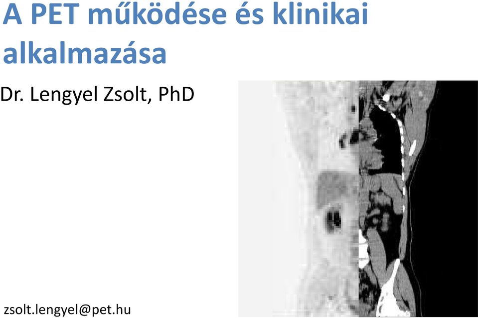 Dr. Lengyel Zsolt,