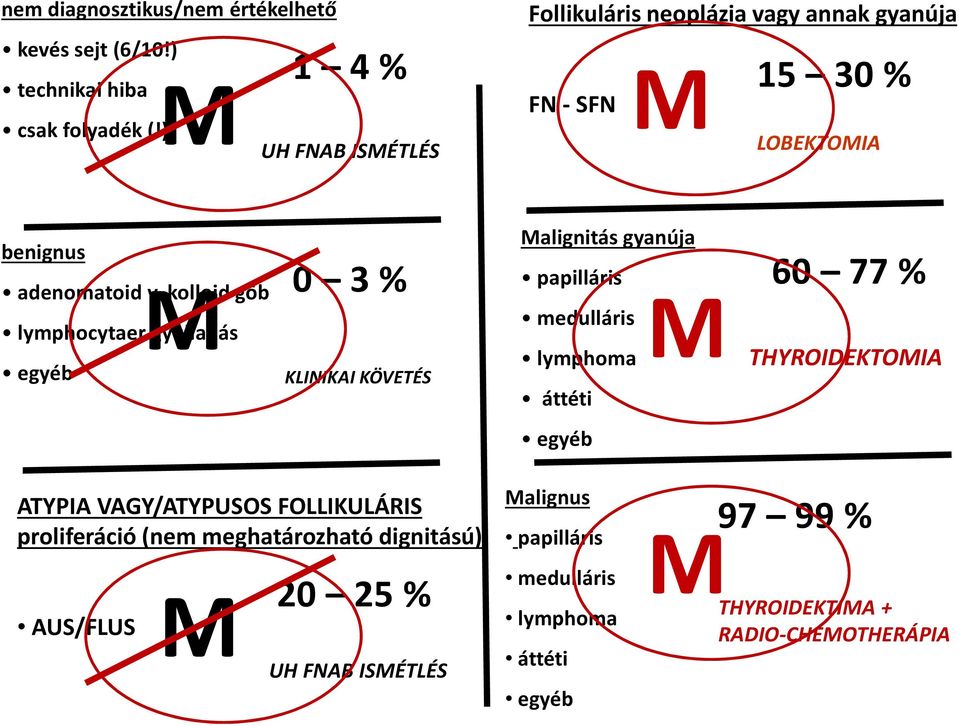 kolloid göb lymphocytaer gyulladás egyéb 0 3 % KLINIKAI KÖVETÉS Malignitás gyanúja papilláris M medulláris lymphoma áttéti 60 77 %