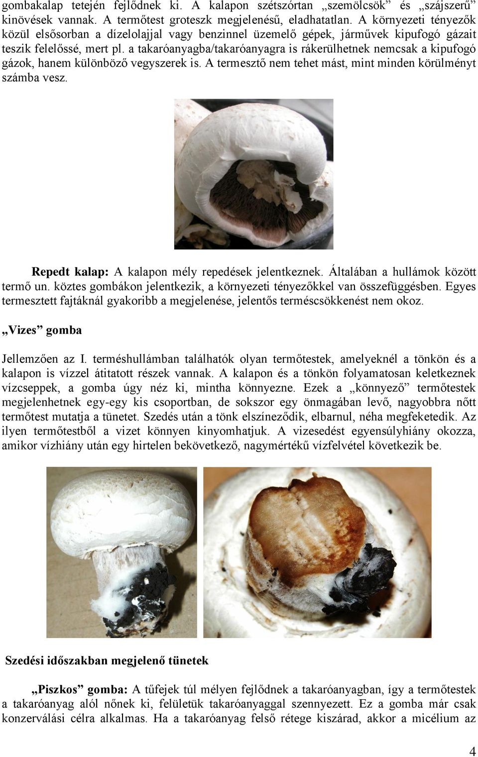 a takaróanyagba/takaróanyagra is rákerülhetnek nemcsak a kipufogó gázok, hanem különböző vegyszerek is. A termesztő nem tehet mást, mint minden körülményt számba vesz.