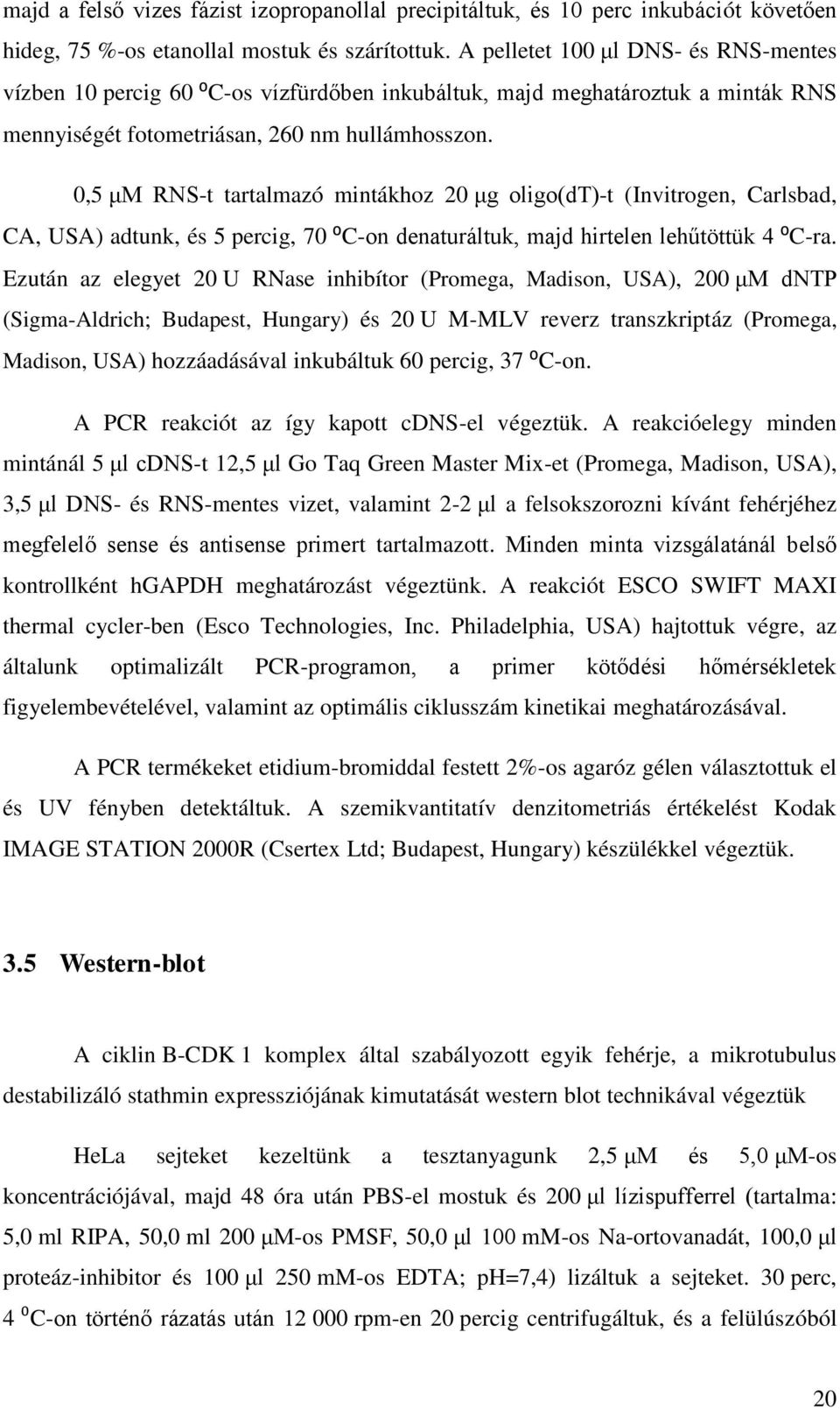 0,5 μm RNS-t tartalmazó mintákhoz 20 μg oligo(dt)-t (Invitrogen, Carlsbad, CA, USA) adtunk, és 5 percig, 70 ⁰C-on denaturáltuk, majd hirtelen lehűtöttük 4 ⁰C-ra.