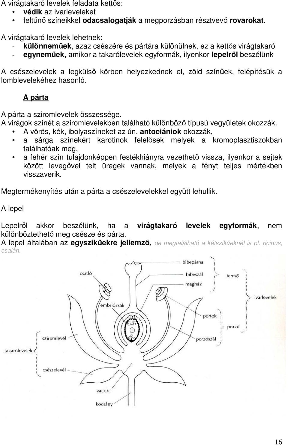 a legkülsı körben helyezkednek el, zöld színőek, felépítésük a lomblevelekéhez hasonló. A párta A párta a sziromlevelek összessége.