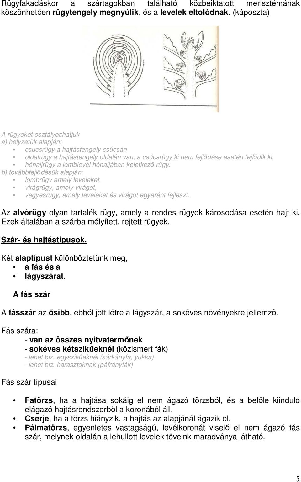 lomblevél hónaljában keletkezı rügy. b) továbbfejlıdésük alapján: lombrügy amely leveleket, virágrügy, amely virágot, vegyesrügy, amely leveleket és virágot egyaránt fejleszt.