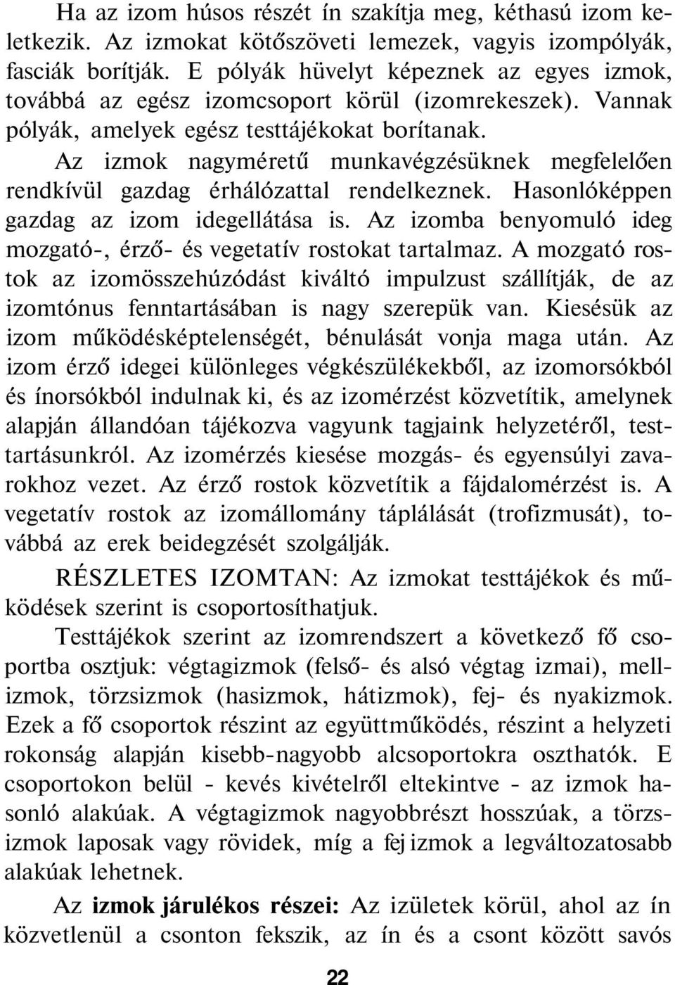 Az izmok nagyméretű munkavégzésüknek megfelelően rendkívül gazdag érhálózattal rendelkeznek. Hasonlóképpen gazdag az izom idegellátása is.