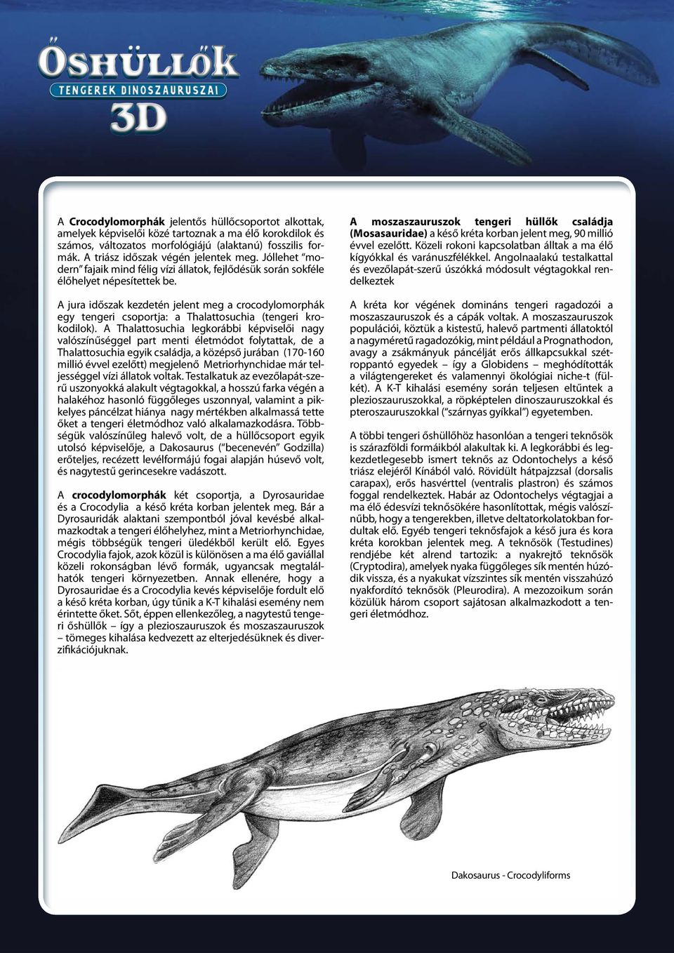 A jura időszak kezdetén jelent meg a crocodylomorphák egy tengeri csoportja: a Thalattosuchia (tengeri krokodilok).