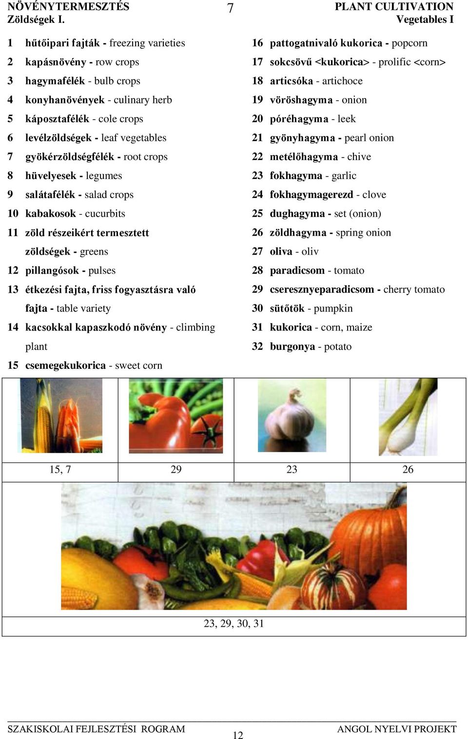 gyökérzöldségfélék - root crops 8 hüvelyesek - legumes 9 salátafélék - salad crops 10 kabakosok - cucurbits 11 zöld részeikért termesztett zöldségek - greens 12 pillangósok - pulses 13 étkezési