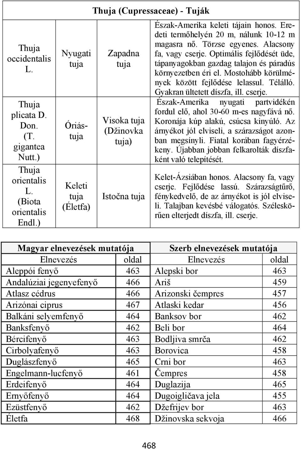 Eredeti termőhelyén 20 m, nálunk 10-12 m magasra nő. Törzse egyenes. Alacsony fa, vagy cserje. Optimális fejlődését üde, tápanyagokban gazdag talajon és páradús környezetben éri el.