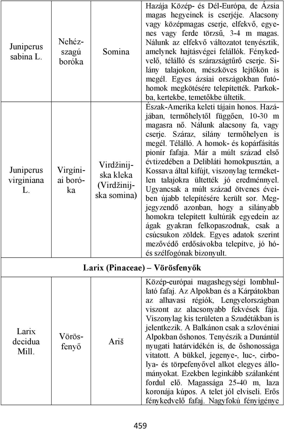 Alacsony vagy középmagas cserje, elfekvő, egyenes vagy ferde törzsű, 3-4 m magas. Nálunk az elfekvő változatot tenyésztik, amelynek hajtásvégei felállók. Fénykedvelő, télálló és szárazságtűrő cserje.