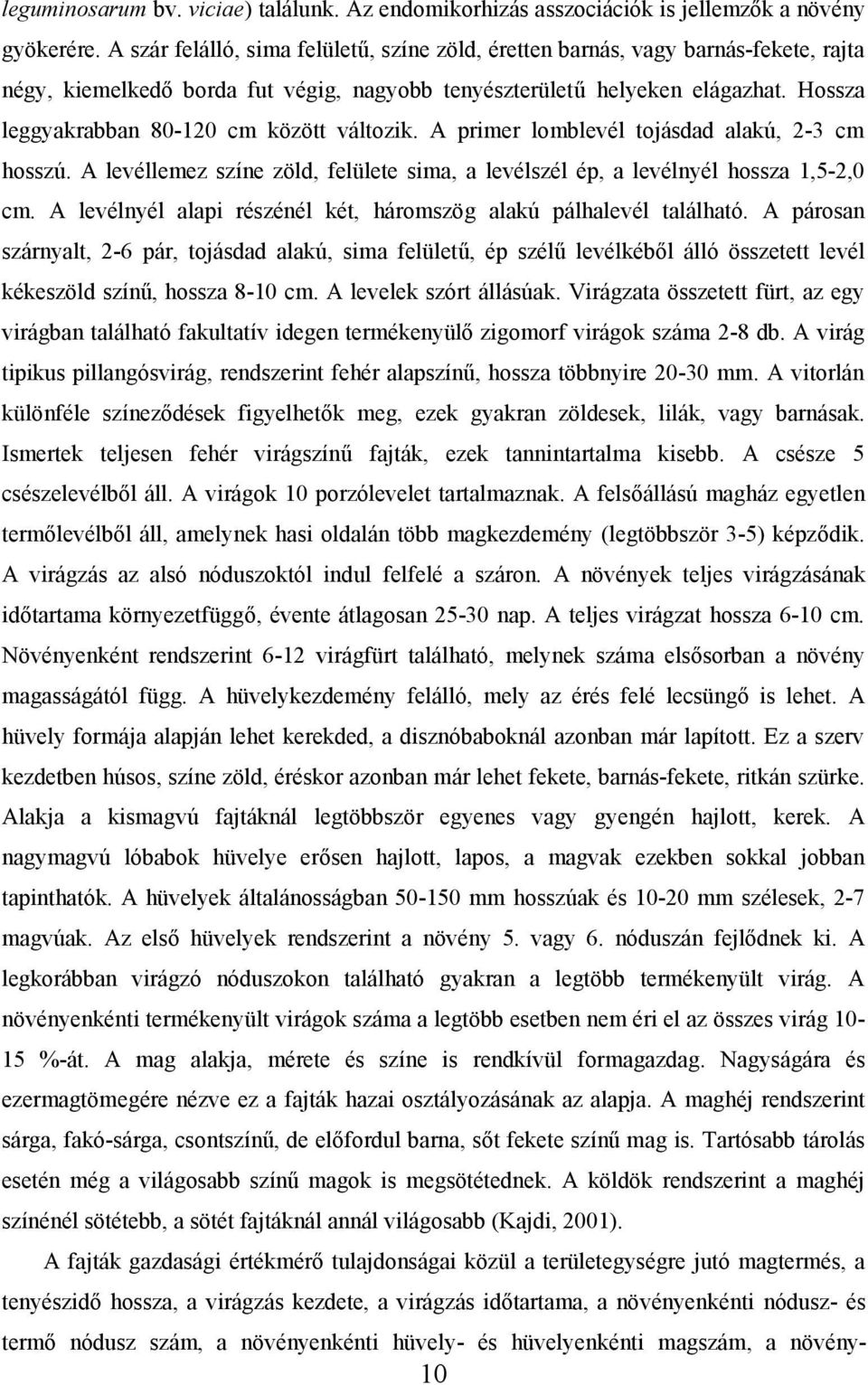 Hossza leggyakrabban 80-120 cm között változik. A primer lomblevél tojásdad alakú, 2-3 cm hosszú. A levéllemez színe zöld, felülete sima, a levélszél ép, a levélnyél hossza 1,5-2,0 cm.