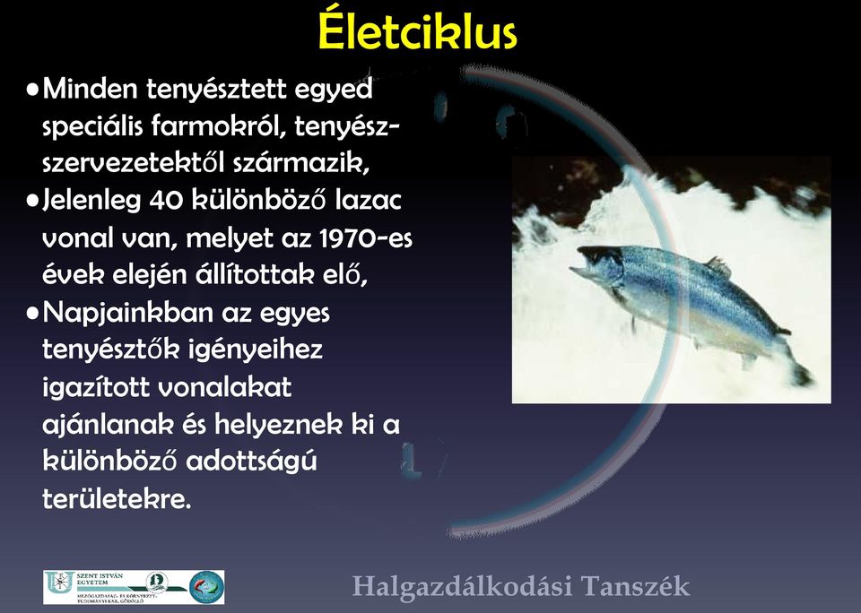 elején állítottak elő, Napjainkban az egyes tenyésztők igényeihez