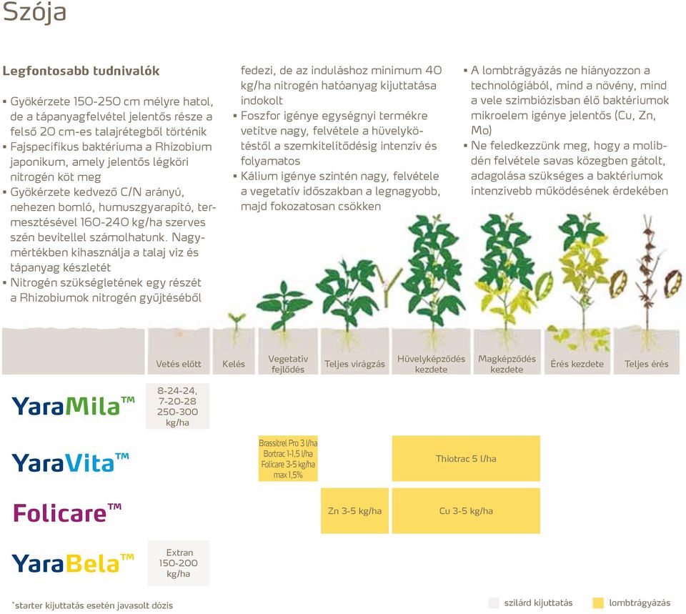 Nagymértékben kihasználja a talaj víz és tápanyag készletét Nitrogén szükségletének egy részét a Rhizobiumok nitrogén gyűjtéséből fedezi, de az induláshoz minimum 40 kg/ha nitrogén hatóanyag