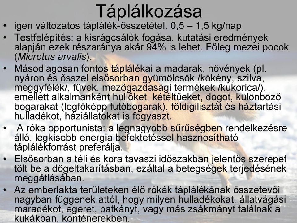 nyáron és ősszel elsősorban gyümölcsök /kökény, szilva, meggyfélék/, füvek, mezőgazdasági termékek /kukorica/), emellett alkalmanként hüllőket, kétéltűeket, dögöt, különböző bogarakat (legfőképp