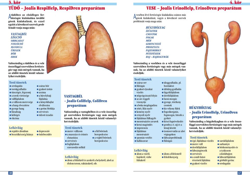 kör VESE Joalis UrinoHelp, UrinoDren preparátum Avesében lévő fertőzésgóc kialakulása számos más gócok kialakulását, vagyis a következő szervek problémáit vonja maga után: HÚGYHÓLYAG ÍZÜLETEK CSONTOK