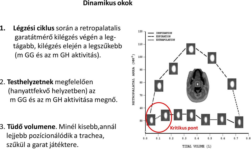 elején a legszűkebb (m GG és az m GH aktivitás). 2.