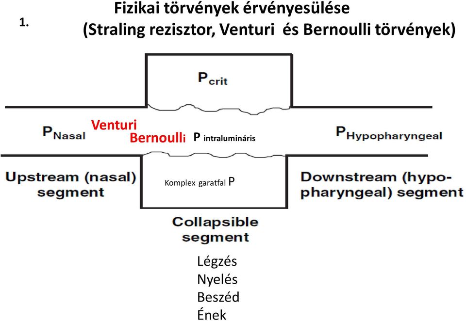 törvények) Venturi Bernoulli P