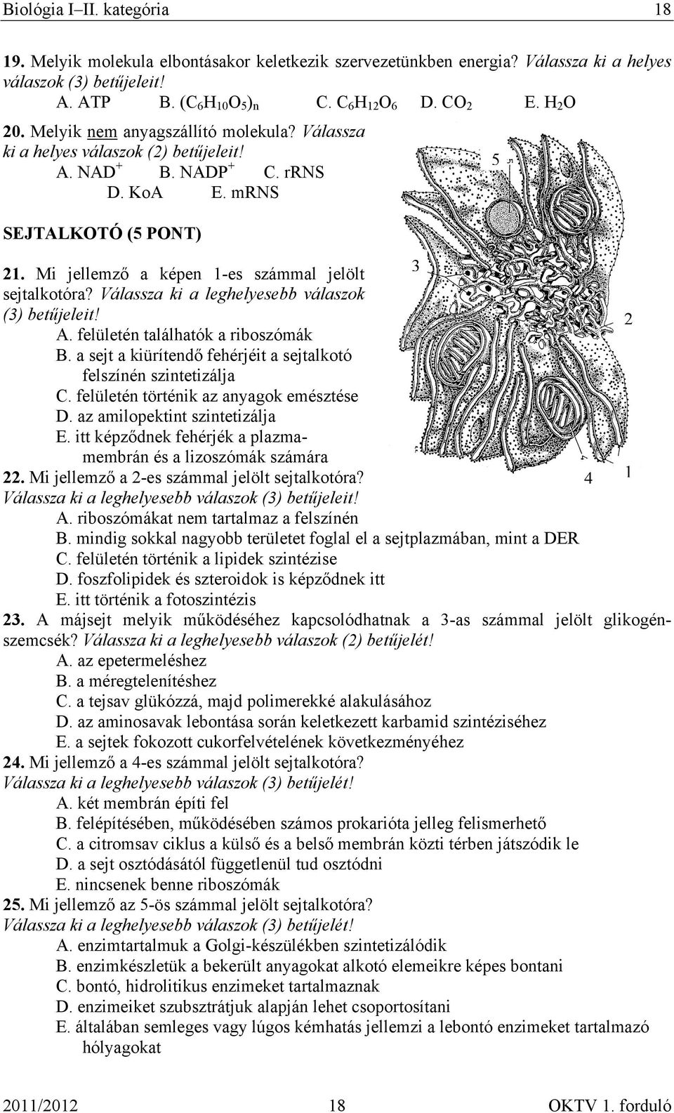 Mi jellemző a képen 1-es számmal jelölt 3 sejtalkotóra? Válassza ki a leghelyesebb válaszok (3) betűjeleit! 2 A. felületén találhatók a riboszómák B.