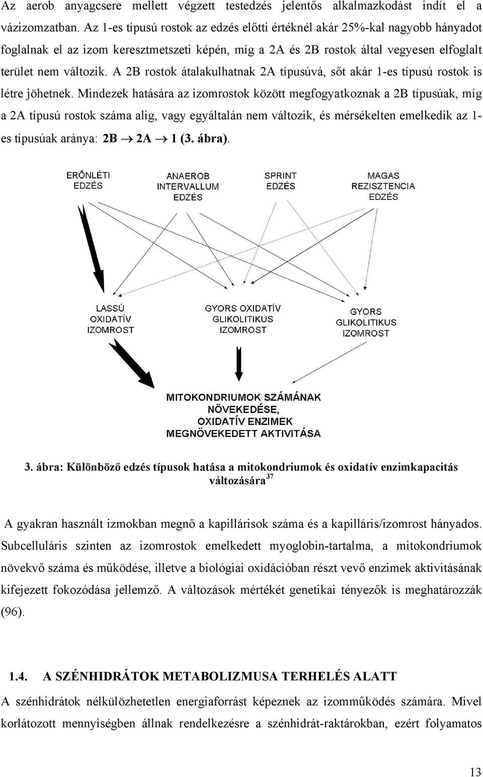 A 2B rostok átalakulhatnak 2A típusúvá, sőt akár 1-es típusú rostok is létre jöhetnek.