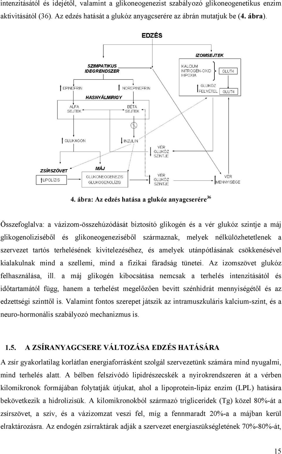 nélkülözhetetlenek a szervezet tartós terhelésének kivitelezéséhez, és amelyek utánpótlásának csökkenésével kialakulnak mind a szellemi, mind a fizikai fáradság tünetei.