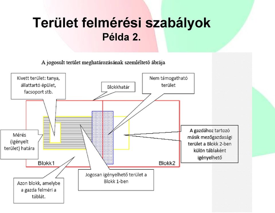 szabályok