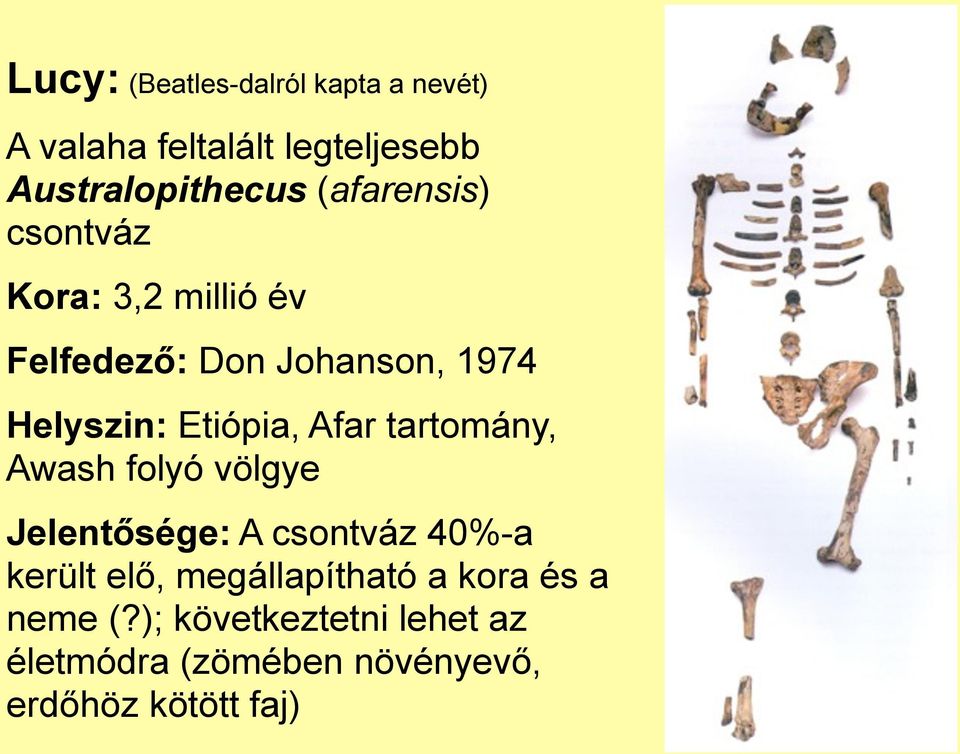 Afar tartomány, Awash folyó völgye Jelentősége: A csontváz 40%-a került elő,