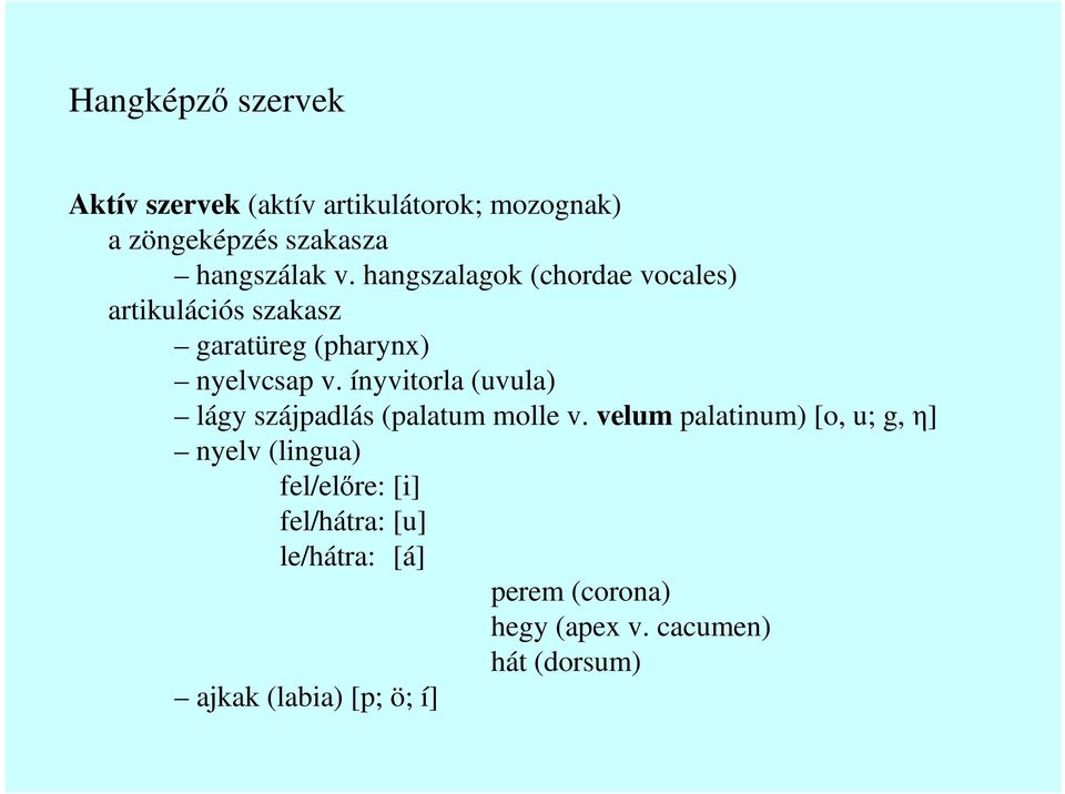 ínyvitorla (uvula) lágy szájpadlás (palatum molle v.