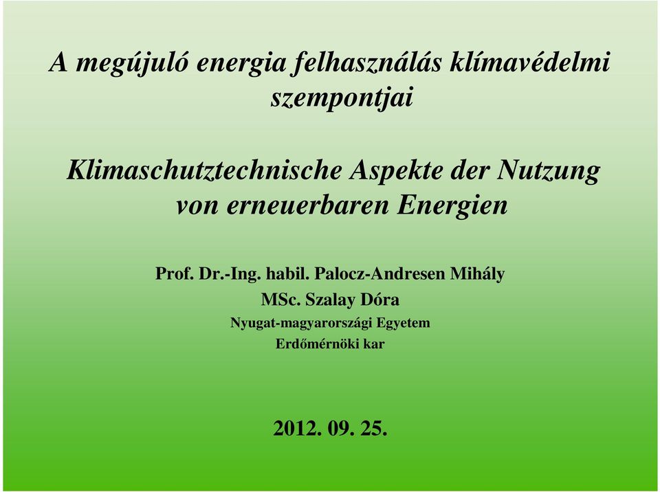 Energien Prof. Dr.-Ing. habil. Palocz-Andresen Mihály MSc.