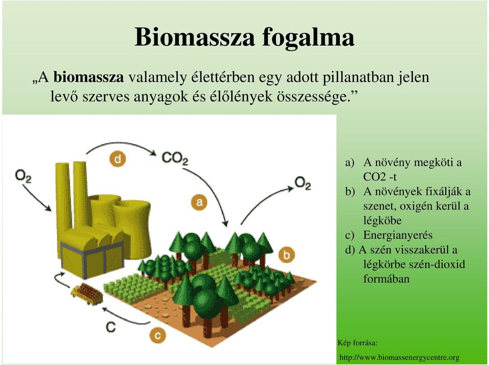 a) A növény megköti a CO2 -t b) A növények fixálják a szenet, oxigén kerül a