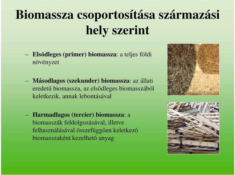 elsődleges biomasszából keletkezik, annak lebontásával Harmadlagos (tercier) biomassza: a