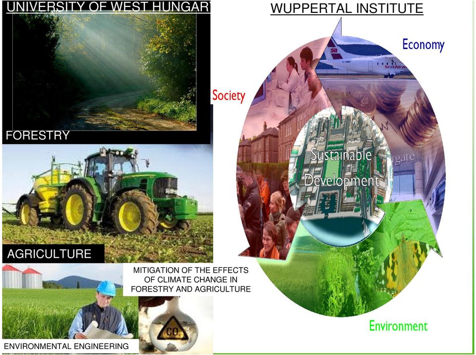 MITIGATION OF THE EFFECTS OF CLIMATE CHANGE