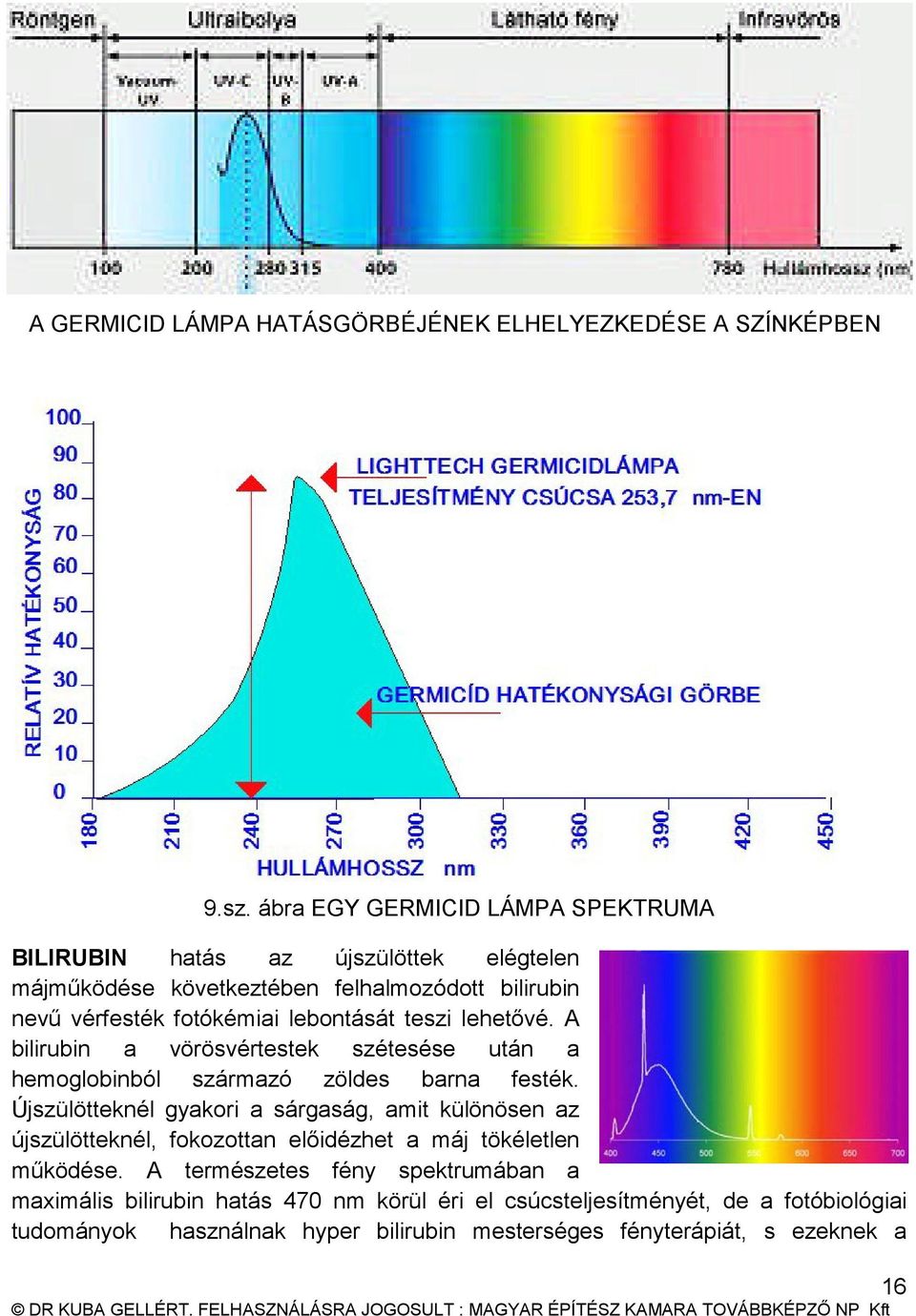 teszi lehetővé. A bilirubin a vörösvértestek szétesése után a hemoglobinból származó zöldes barna festék.