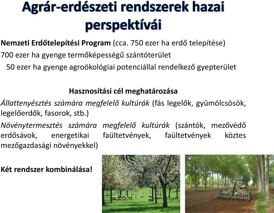 rendelkező gyepterület Hasznosítási cél meghatározása Állattenyésztés számára megfelelő kultúrák (fás legelők,
