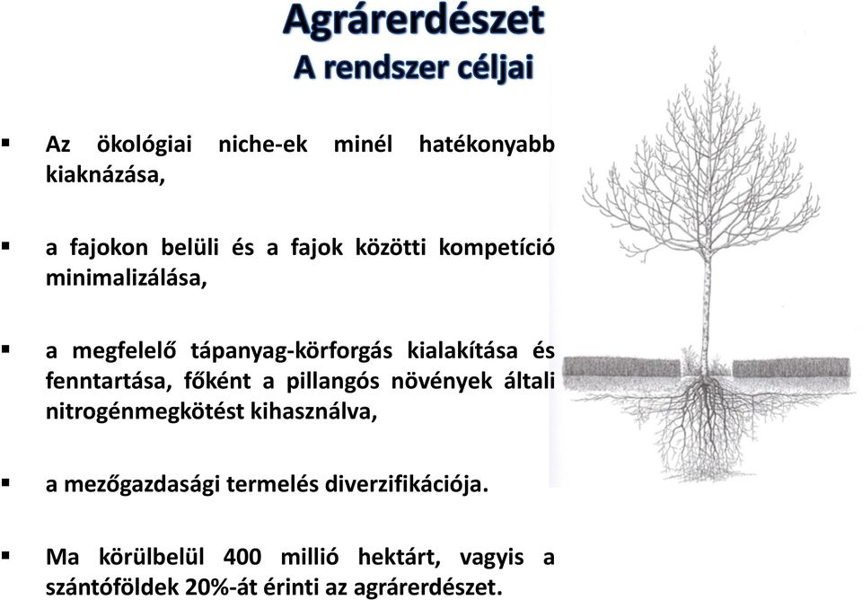 a pillangós növények általi nitrogénmegkötést kihasználva, a mezőgazdasági termelés