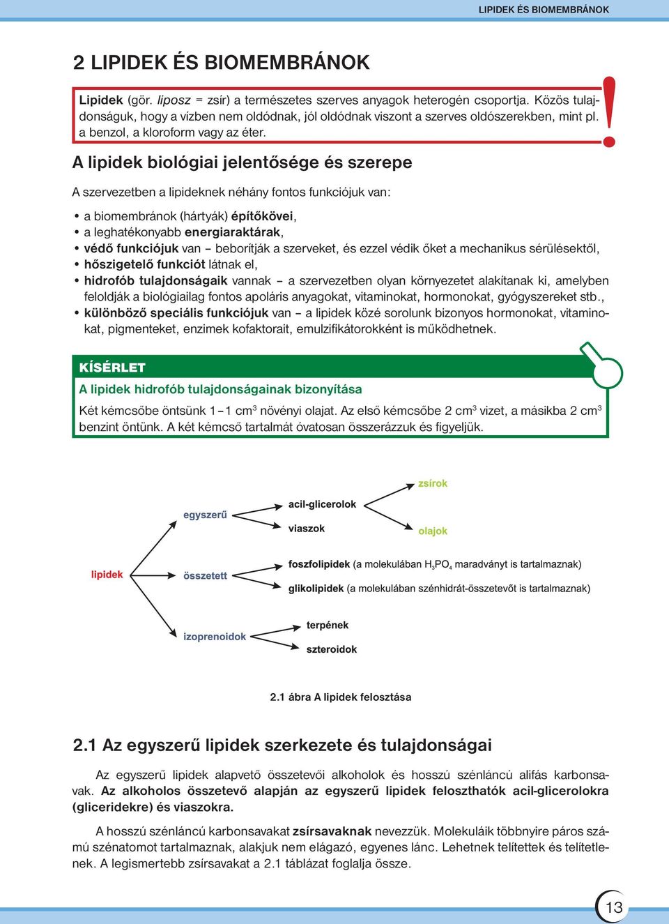 A lipidek biológiai jelentősége és szerepe A szervezetben a lipideknek néhány fontos funkciójuk van: a biomembránok (hártyák) építőkövei, a leghatékonyabb energiaraktárak, védő funkciójuk van