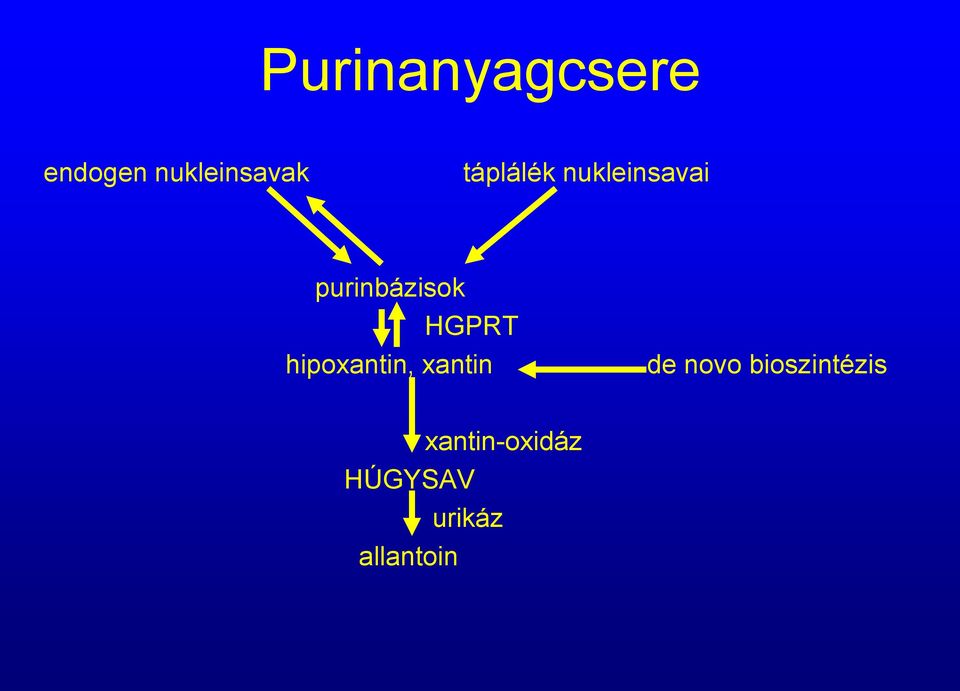 HGPRT hipoxantin, xantin de novo