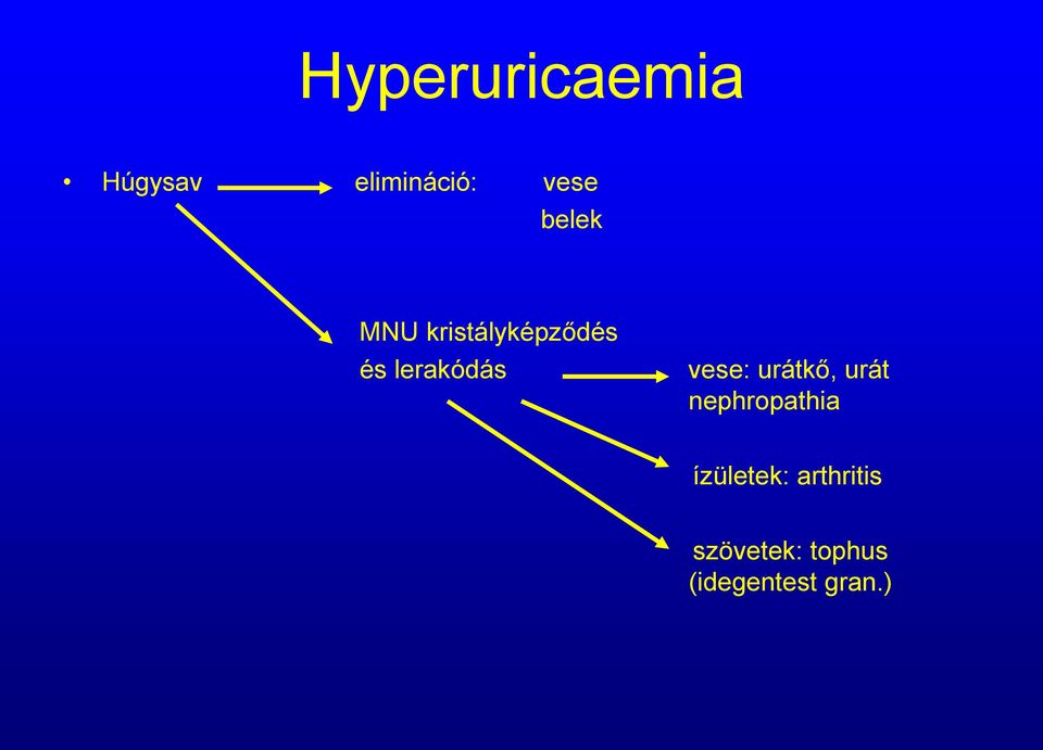 vese: urátkő, urát nephropathia ízületek: