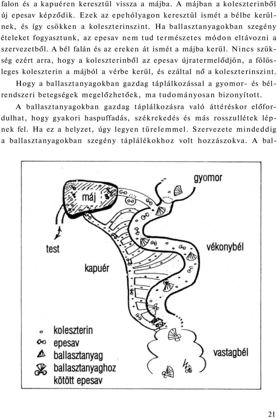 Nincs szükség ezért arra, hogy a koleszterinből az epesav újratermelődjön, a fölösleges koleszterin a májból a vérbe kerül, és ezáltal nő a koleszterinszint.