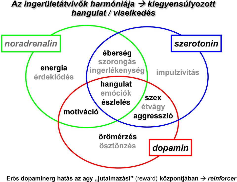 hangulat emóciók észlelés szex étvágy aggresszió szerotonin impulzivitás