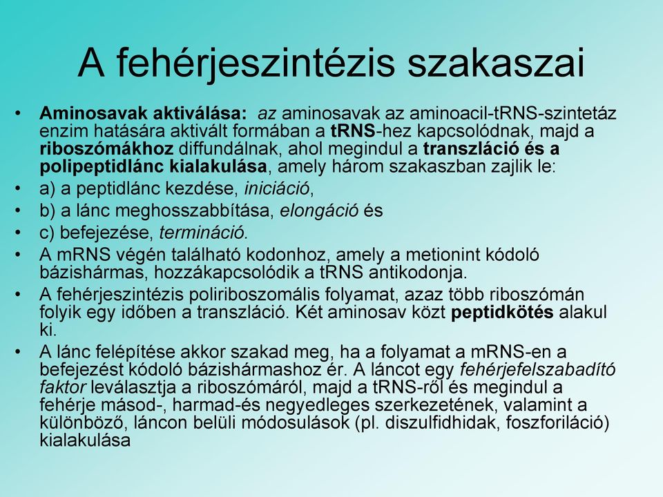 A mrns végén található kodonhoz, amely a metionint kódoló bázishármas, hozzákapcsolódik a trns antikodonja.