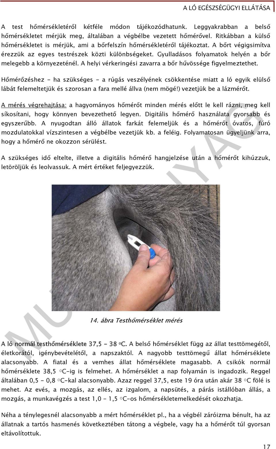 Gyulladásos folyamatok helyén a bőr melegebb a környezeténél. A helyi vérkeringési zavarra a bőr hűvössége figyelmeztethet.