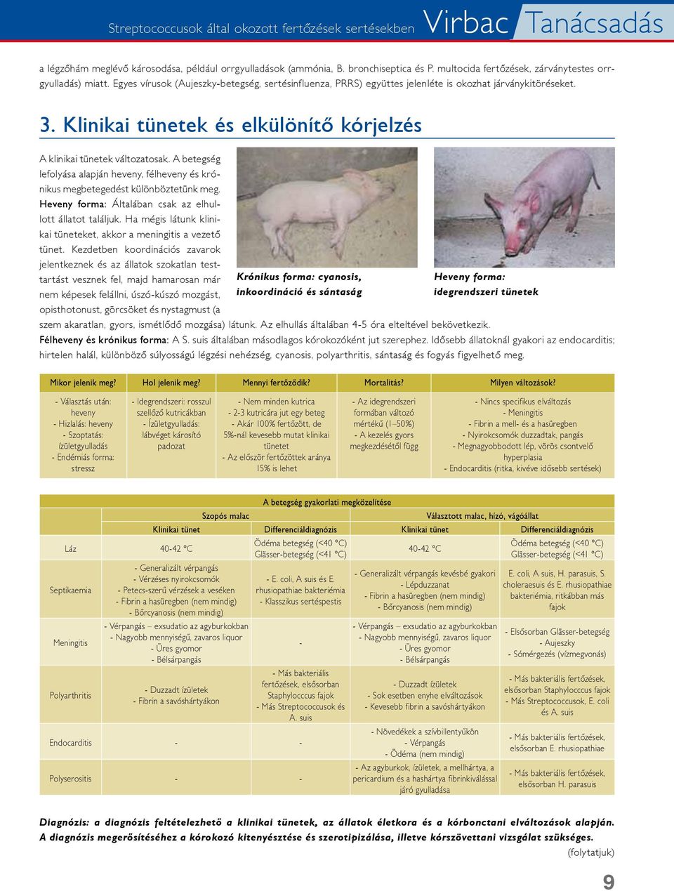 Klinikai tünetek és elkülönítô kórjelzés A klinikai tünetek változatosak. A betegség lefolyása alapján heveny, félheveny és krónikus megbetegedést különböztetünk meg.