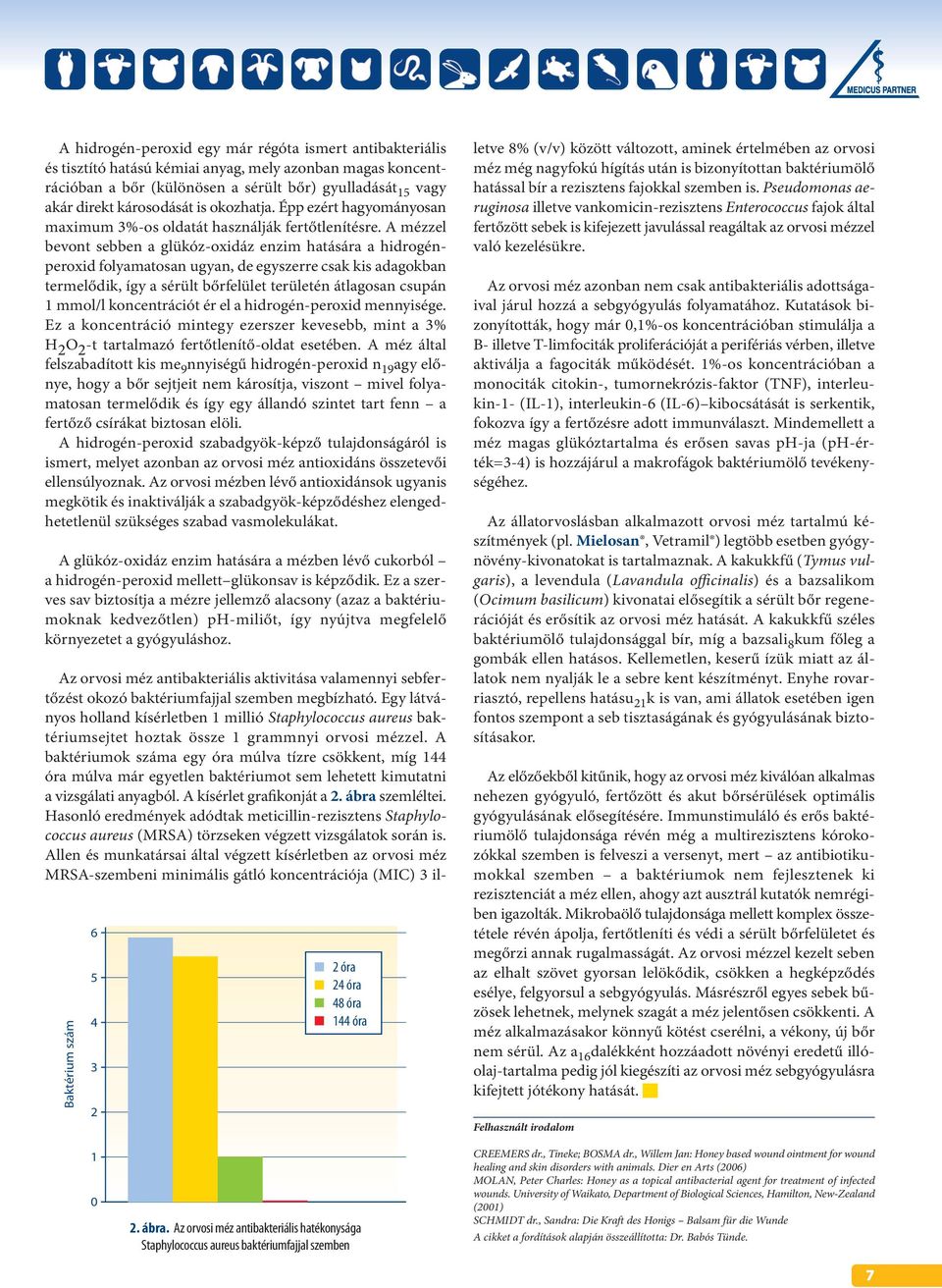 A mézzel bevont sebben a glükóz-oxidáz enzim hatására a hidrogénperoxid folyamatosan ugyan, de egyszerre csak kis adagokban termelődik, így a sérült bőrfelület területén átlagosan csupán 1 mmol/l