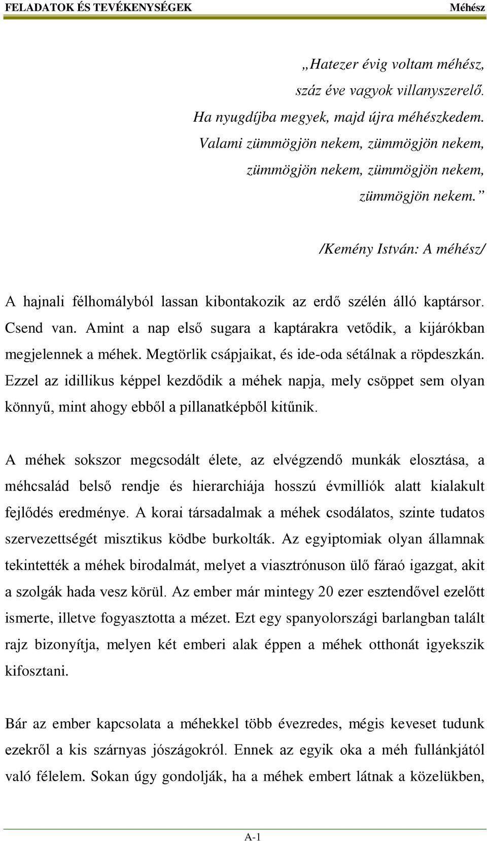 Csend van. Amint a nap első sugara a kaptárakra vetődik, a kijárókban megjelennek a méhek. Megtörlik csápjaikat, és ide-oda sétálnak a röpdeszkán.