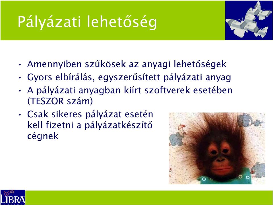 A pályázati anyagban kiírt szoftverek esetében (TESZOR