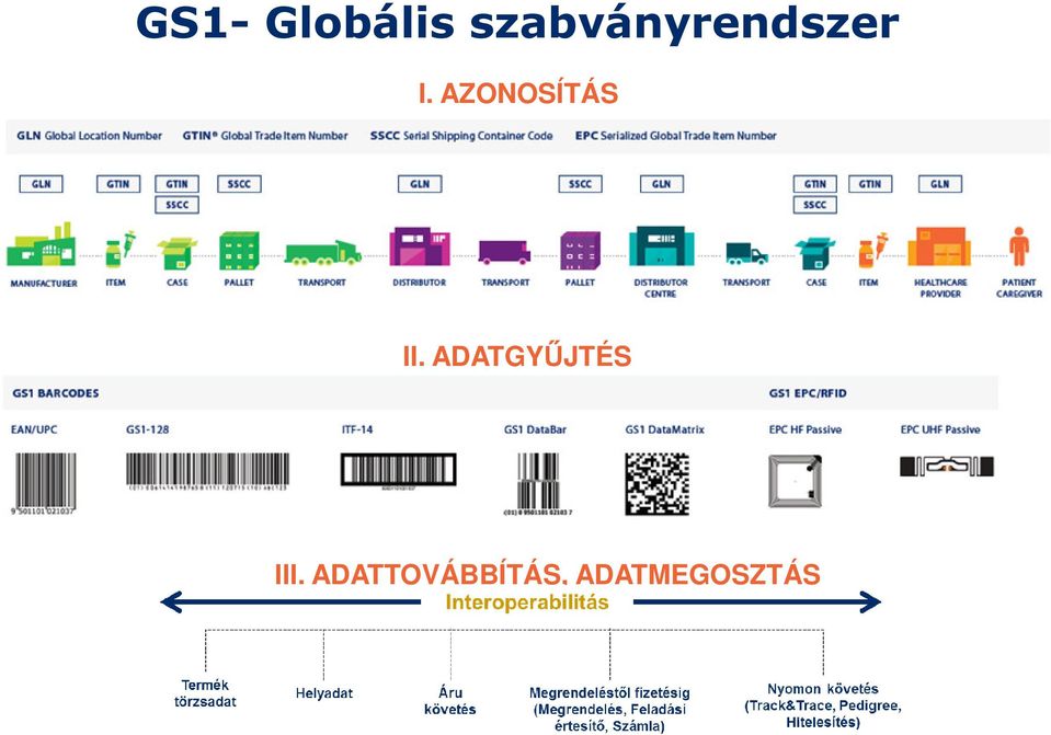 AZONOSÍTÁS II.