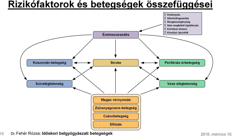 Koszorúér-betegség Stroke Perifériás érbetegség Szívelégtelenség Vese elégtelenség Magas