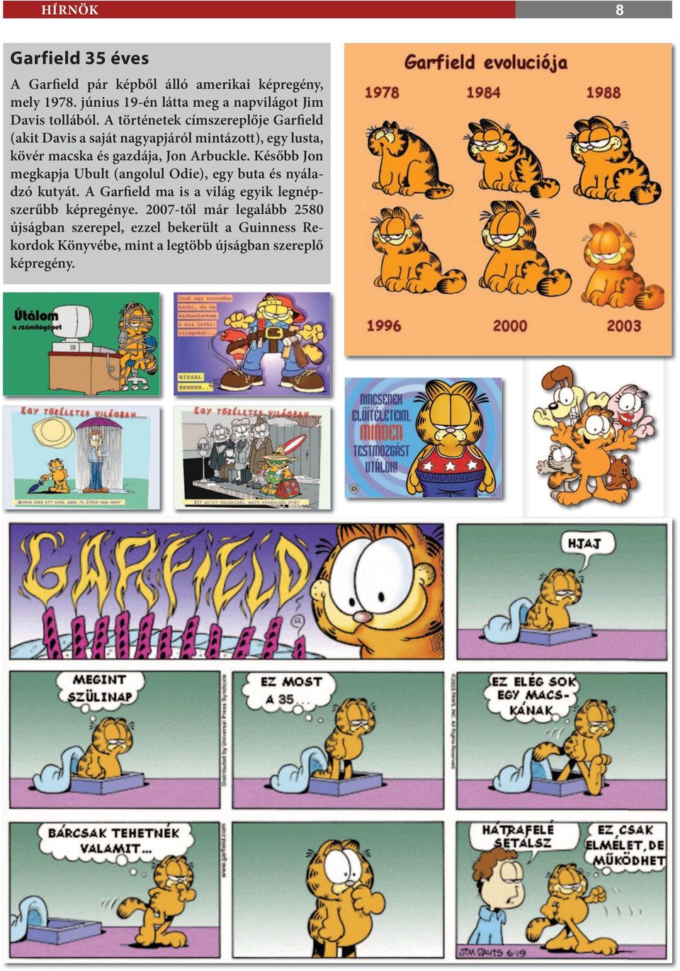 A történetek címszereplője Garfield (akit Davis a saját nagyapjáról mintázott), egy lusta, kövér macska és gazdája, Jon Arbuckle.