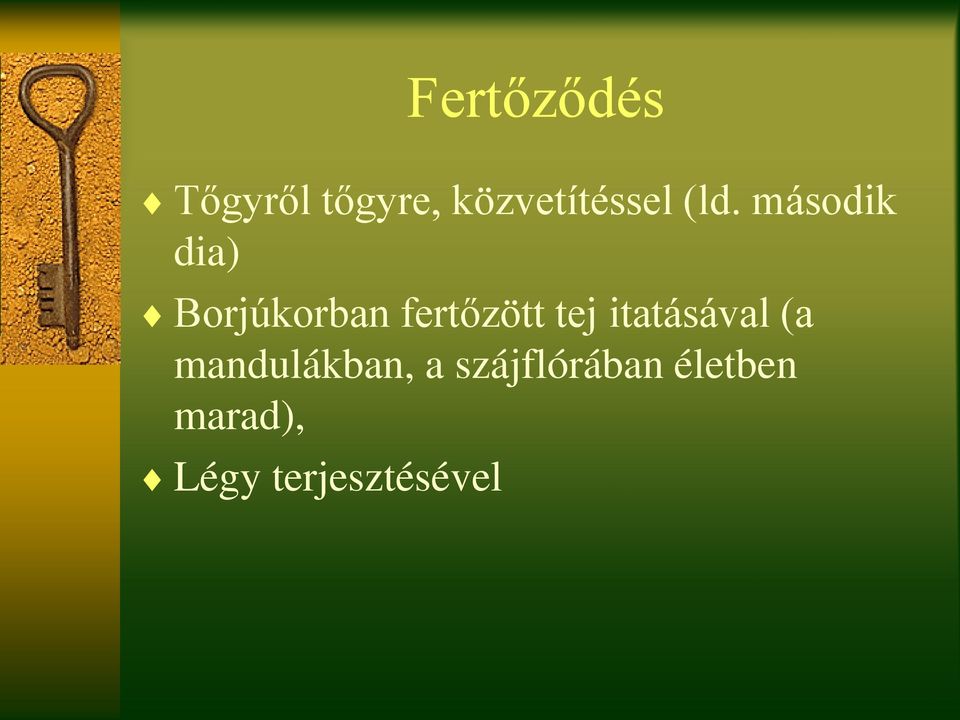 tej itatásával (a mandulákban, a